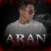 Aran - Album Tus Besos