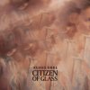 Agnes Obel - Album Grasshopper