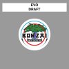 EVO - Album Draft