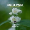 Sons of Maria - Album What It Feels Like