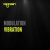 Modulation - Album Vibration