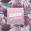 The Biebers - Album A Város