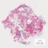 You Can't Win, Charlie Brown - Album Marrow