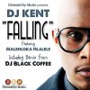 DJ Kent - Album Falling (featuring Malehloka Hlalele)