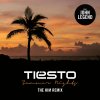 Tiësto feat. John Legend - Album Summer Nights [The Him Remix]