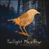 Twilight Meadow - Album The Worlds We Discovered