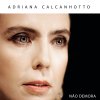 Adriana Calcanhotto - Album Não Demora