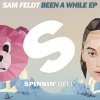 Sam Feldt - Album Been A While - EP