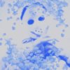 Yung Lean - Album Frost God