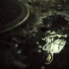 Edon - Album Fra Et Andet Perspektiv