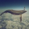 Arvid - Album Paralysis