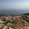 David Pomeranz - Album What Is Your Stone?: 5 Songs Inspired by the Holy Land