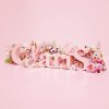 ClariS - Album ClariS -Single Best 1st-
