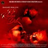 Shahid Mallya - Album Ro Raha Dil
