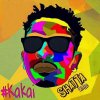 Shatta Wale - Album Kakai