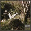Dhira Bongs - Album Puncak Pohon Bandung - Single