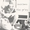 David James - Album In the Grey