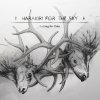 Harakiri for the Sky - Album Calling the Rain