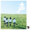 Whiteeeen - Album Koe