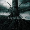 Angelmaker - Album Decay