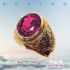 Poncho - Album The Love You Got