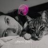 Feli - Album Amores Gatos