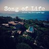 Jeroen van Koningsbrugge - Album Song of Life