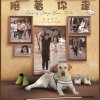 胡杏兒 - Album 天使 (劇集 