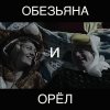 Ленинград - Album Обезьяна и орёл