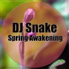 DJ Snake - Album Spring Awakening
