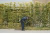 http://s.mxmcdn.net/images-storage/albums4/8/1/3/1/1/5/33511318.jpg