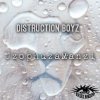 Distruction Boyz - Album UzophuzaManzi