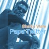 Shatta Wale - Album Papa Twitter