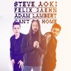 Steve Aoki feat. Felix Jaehn - Album Can’t Go Home (feat. Adam Lambert)