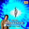 Pankaj Udhas - Album Maha Mrityunjay Pankaj Udhas