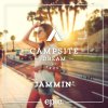 Campsite Dream - Album Jammin'