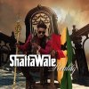 Shatta Wale - Album Reality