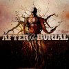 After the Burial - Album Rareform
