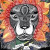 Kaka - Album Alle Kigger
