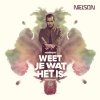 Nielson - Album Weet Je Wat Het Is