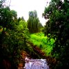 http://s.mxmcdn.net/images-storage/albums4/9/1/0/3/3/5/32533019.jpg