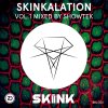 Album Skinkalation, Vol. 1