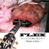 FLEX - Album Wind Containing Cesium Blows