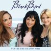 Blackbyrd - Album You're the Reason Why