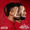 The Shin Sekaï - Album Indéfini