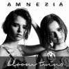 Bloom Twins - Album Amnesia