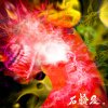 石鹸屋 - Album アウェイク