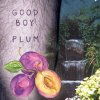 Good Boy - Album Plum