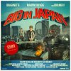 Martin Solveig & Dragonette - Album Big In Japan Remixes (feat. Idoling!!!)