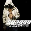 Shaggy - Album Church Heathen - Single